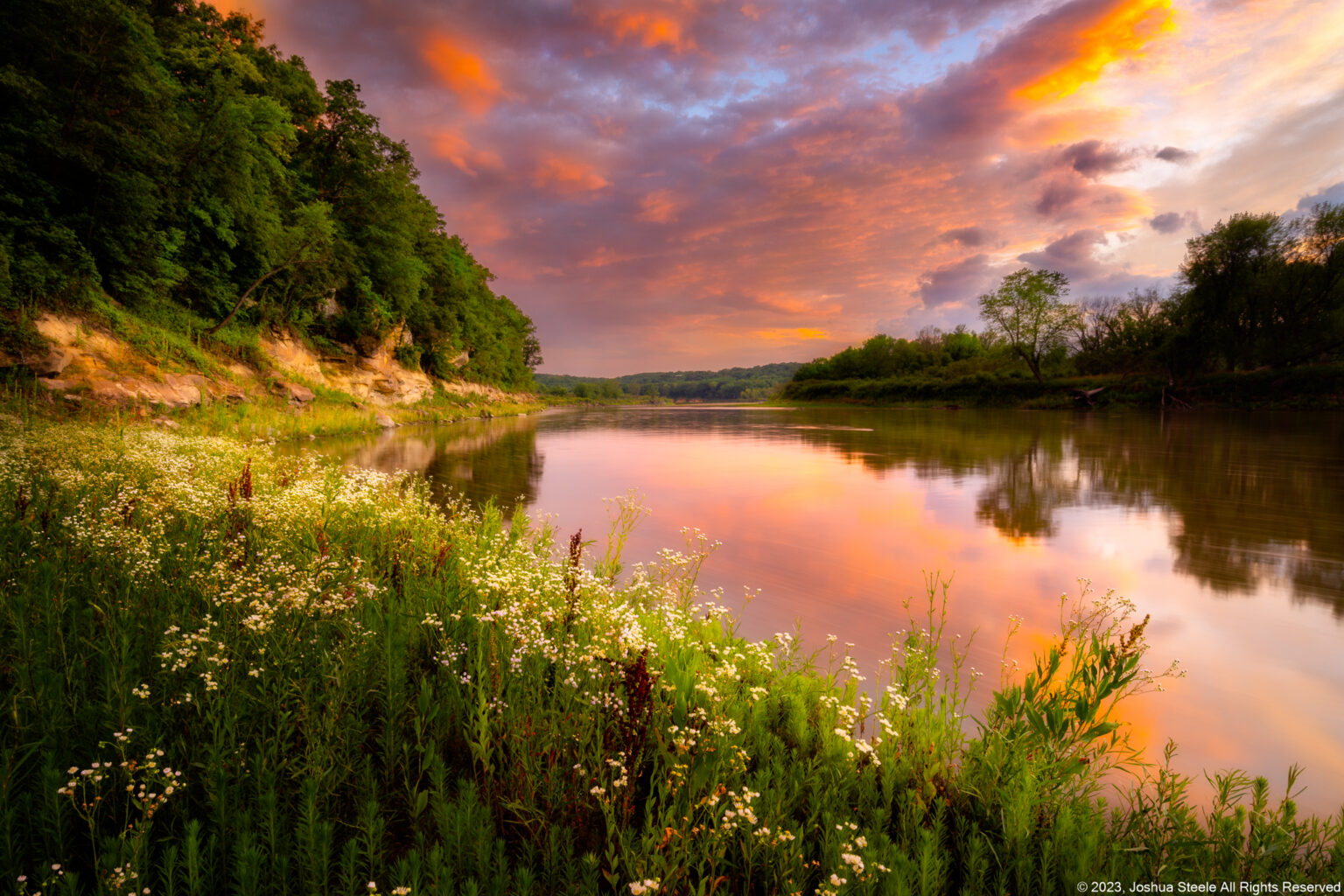 Image of a flowers and a river at sunset