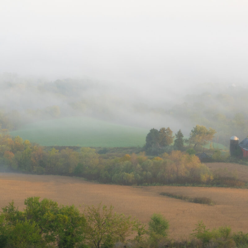 Foggy Valley