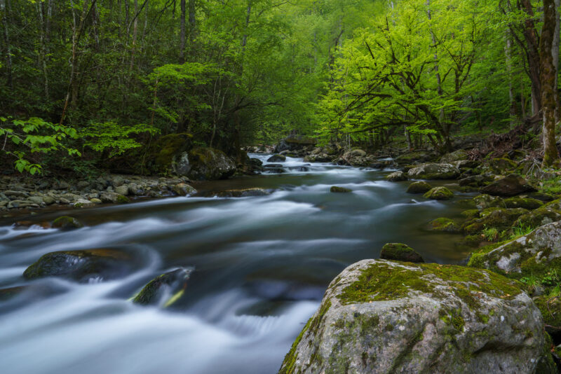 Tremont River Rocks