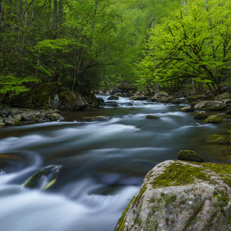 Tremont River Rocks
