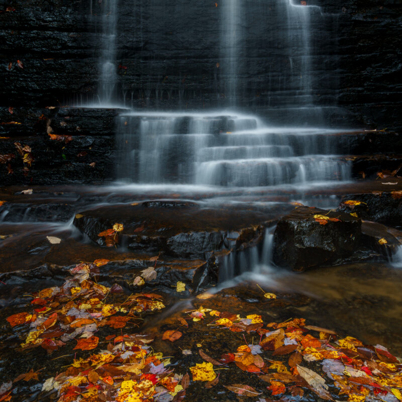 Benton Falls Leaves