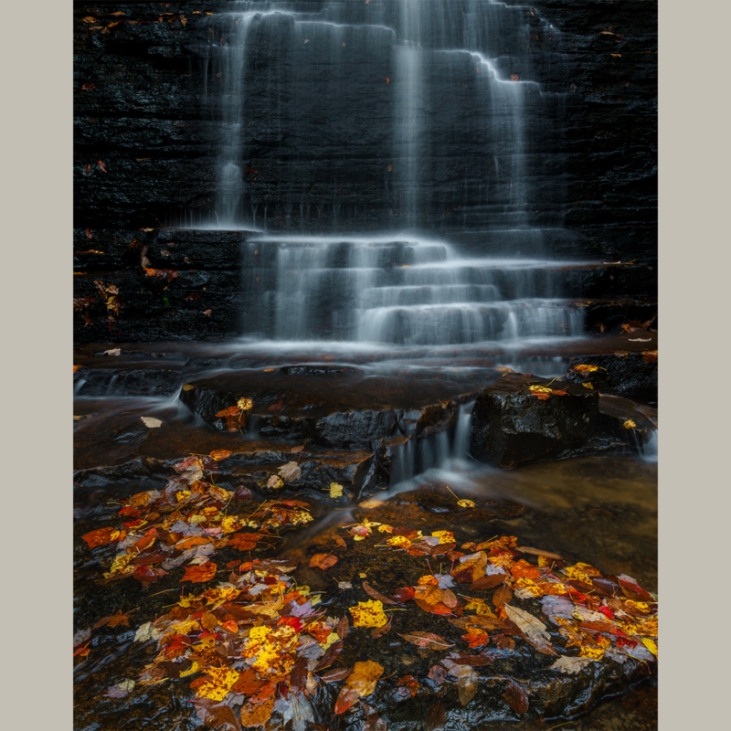 Benton Falls Leaves